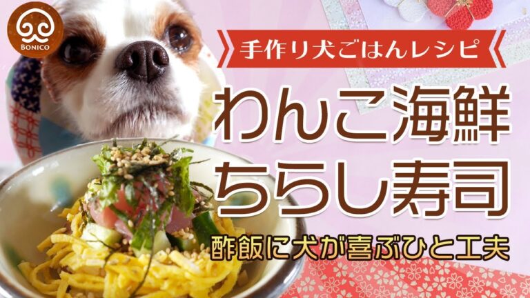 【犬の手作りご飯】簡単だけど豪華に見える♪わんこ海鮮ちらし寿司の作り方