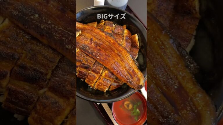 こだわりの備長炭で焼いたうなぎがなんと3匹弱！ご飯の下からも出てくるうなぎまみれのうな丼！/高橋屋 /浜松市西区舘山寺 #shorts