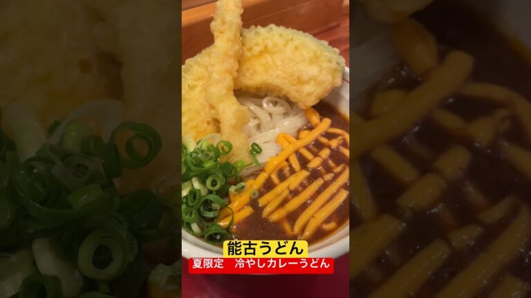 【福岡グルメ】冷やしカレーうどん。