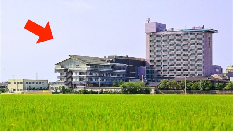 天ぷら！寿司！年間１０万人が殺到する温泉旅館厨房の凄腕料理人軍団に密着丨Japanese Food Buffet