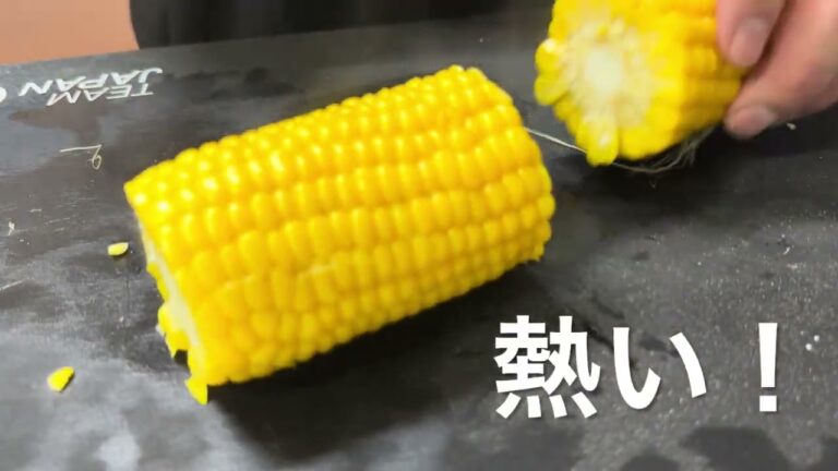 タイ風ラグービアンコ@meidiya_store