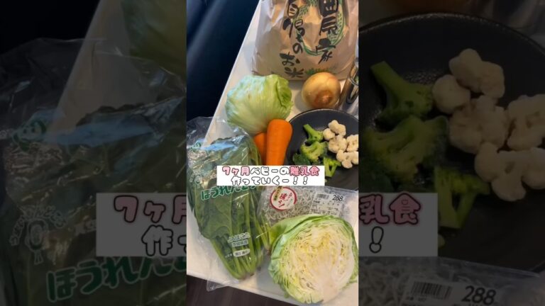 7ヶ月ベビーの離乳食作り🥕#離乳食 #離乳食ストック #離乳食レシピ #離乳食初期 #離乳食記録 #離乳食中期 #るいちゃんねる #るいちゃんねる離乳食#TikTok離乳食