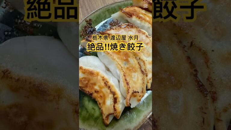 【焼き餃子 絶品！お取り寄せグルメ】青竹手打ちらーめん 渡辺屋 水月 #焼き餃子 #餃子 #shorts