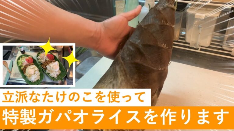 【料理動画】掘り起こしたたけのこを使ってガパオライスを作ります