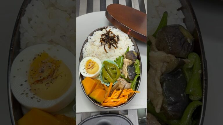 【お弁当】【ナスとピーマンオイスターソース炒め弁当】#49