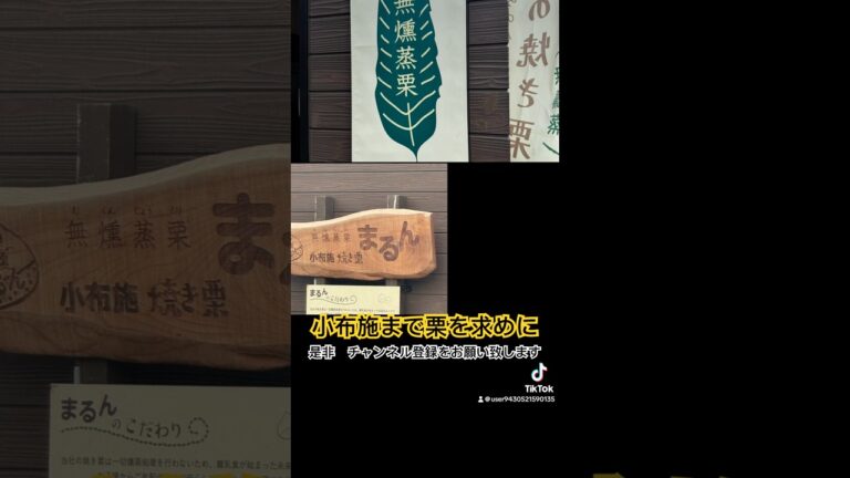 #栗#栗ご飯#小布施