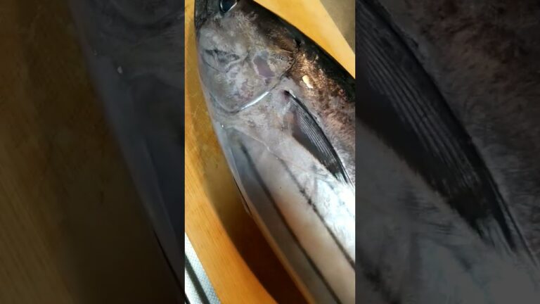 #カツオ　#カツオのたたき