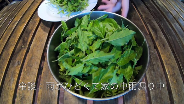 ガパオライス　タイ料理レシピ＃４