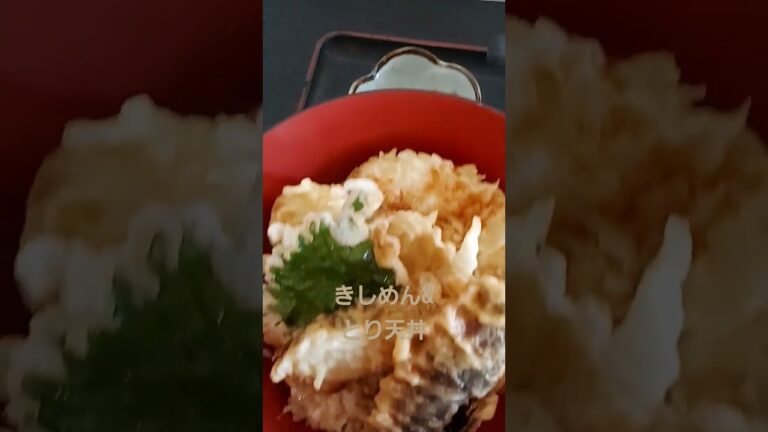 和食よろしく！大満足でした！#ランチ #きしめん#天丼#愛知県 #一宮市