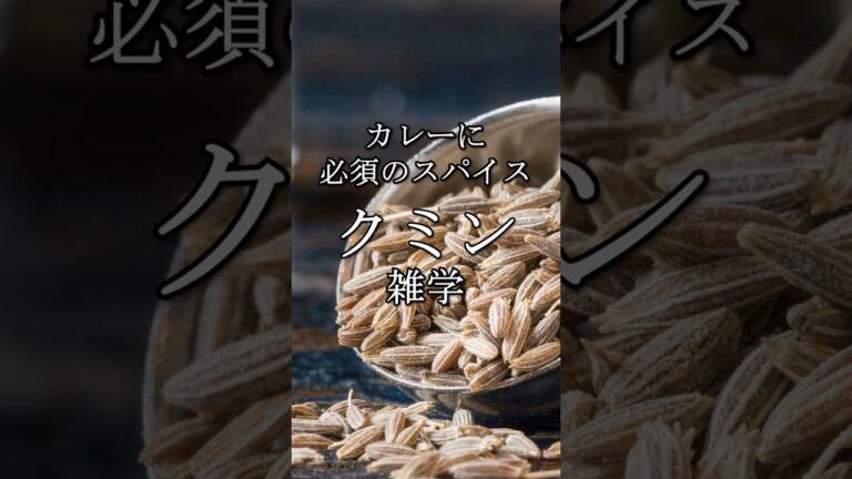【雑学】体臭にも影響あり！？カレーの基本スパイス「クミン」を紹介！  #shorts #料理 #健康 #カレー #美容