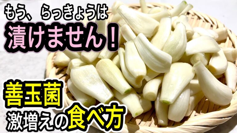 【管理栄養士考案】漬けちゃダメ！らっきょう徹底活用レシピ！腸活や免疫力に驚きの食べ方