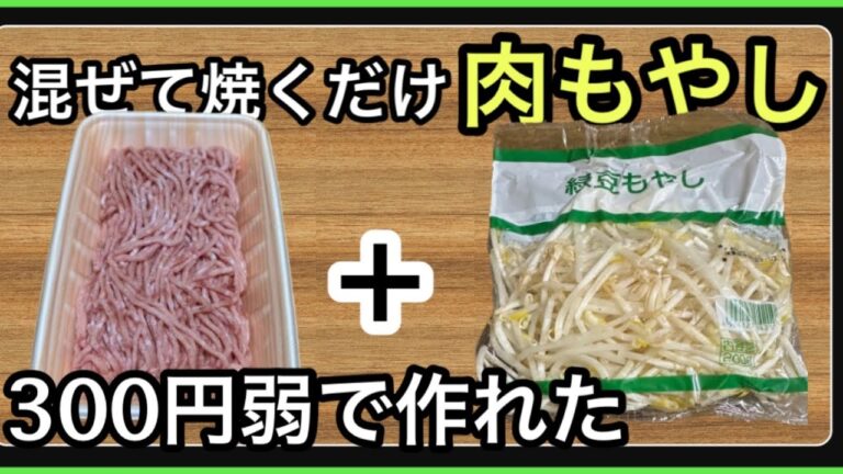 【300円弱】肉もやしが安い•簡単•美味いので真似をしろ!!