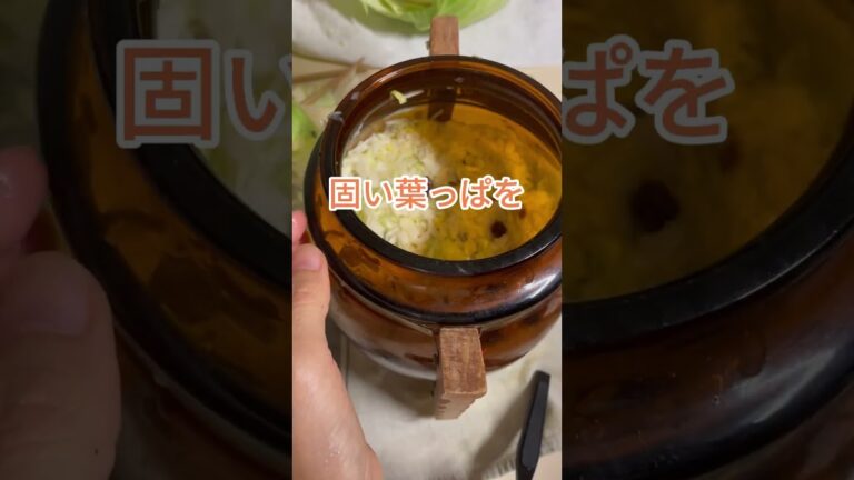 ザワークラウトで腸活　#shorts