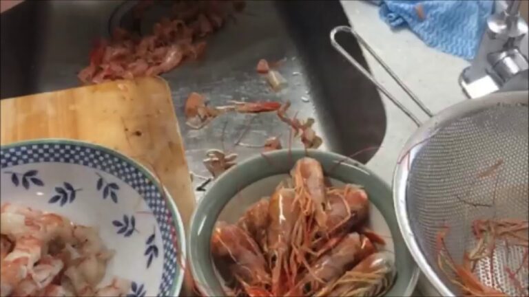 海老餃子1種作り編