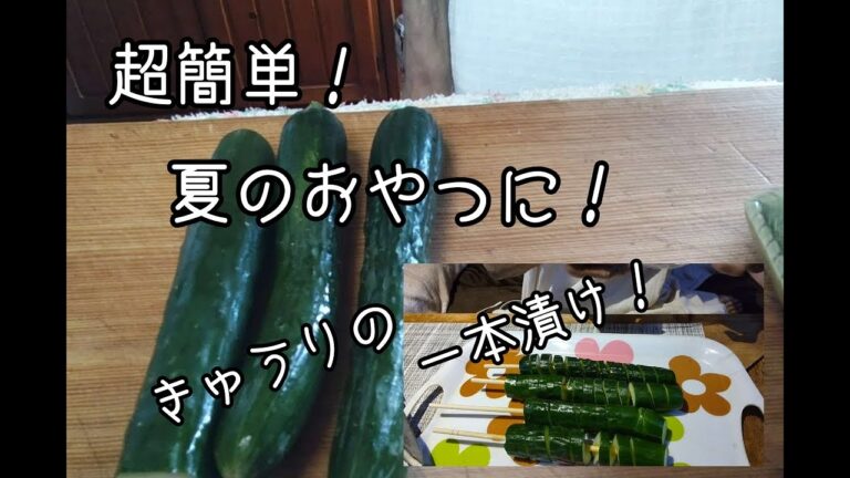 料理にがてな方でも超簡単！きゅうり一本漬け！