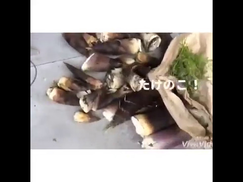 たけのこ料理♡