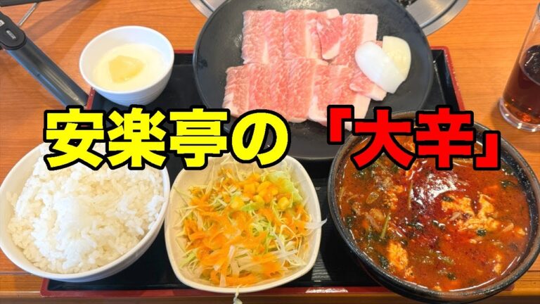 【#844】安楽亭 トントロランチ（塩）肉160g増量 大辛ユッケジャンスープ追加 ミニサラダ選択  /2024.3.20