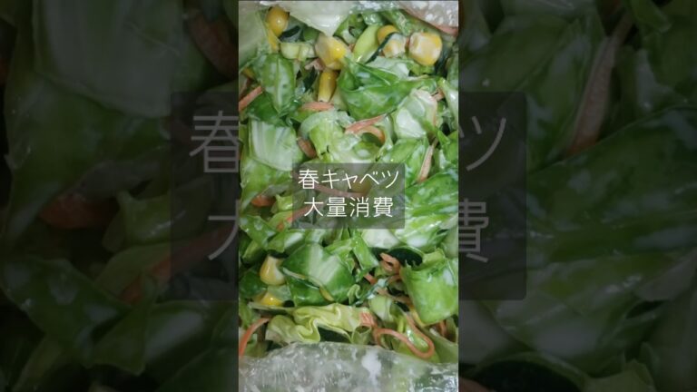 春キャベツでコールスロー　#50代主婦 #簡単レシピ #料理日記 #夜ご飯  #春キャベツ #shorts