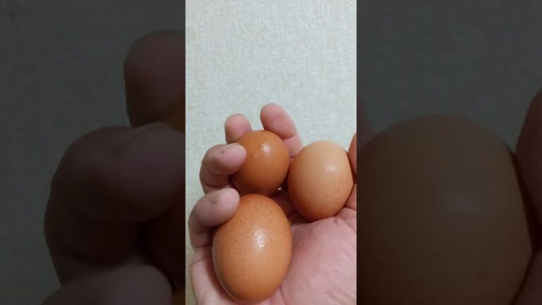 辛子明太子入り焼き玉子は私のなかでは贅沢(〃^ー^〃)
