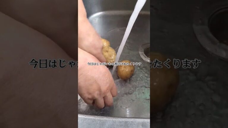 じゃがいも料理  煮っころがし