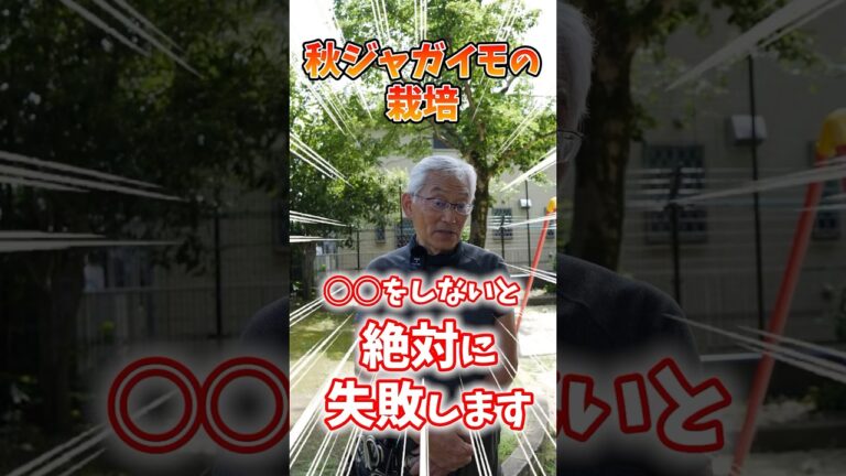 家庭菜園や農園の秋ジャガイモ栽培で失敗しない秘訣！重要な3つのコツと秋ジャガイモの育て方！【農家直伝】#shorts