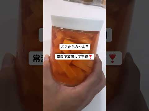 【腸活！】おうちで簡単に野菜を乳酸発酵させる方法！〜人参編〜　#Shorts