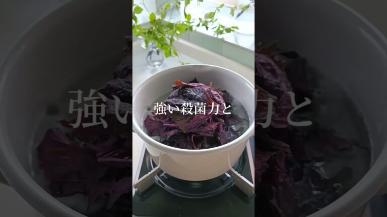 砂糖不使用！赤しそジュース