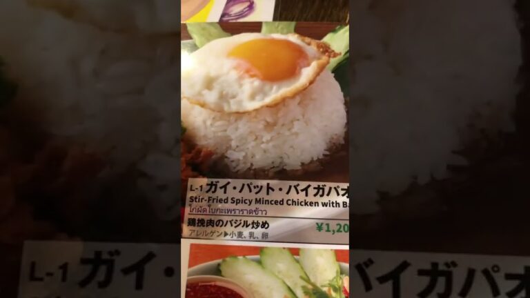 吉祥寺のタイ料理店で食欲をそそるガパオライスを食らう