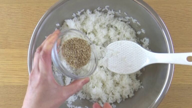 サーモンの手捏ね寿司