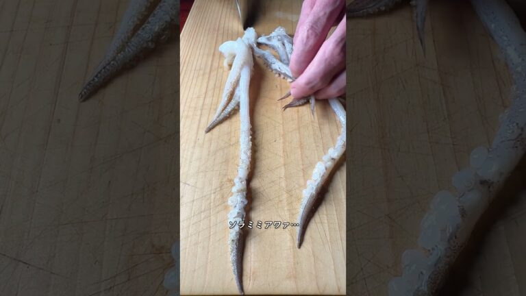 塩辛でなくイカの肝あえ #shorts