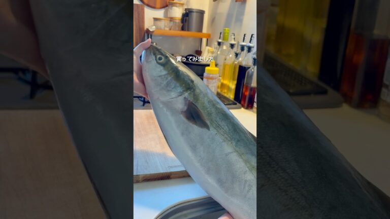 今日はブリの照り焼き弁当🐟#お弁当#弁当#lunchbox #shorts