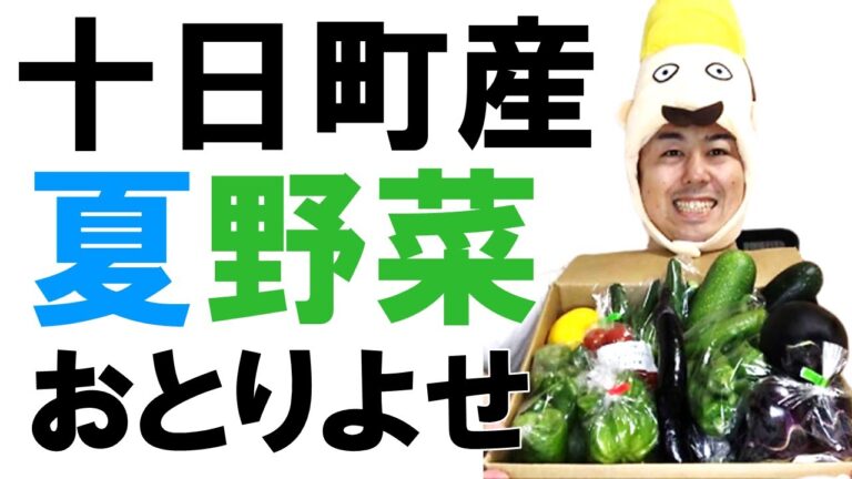 【お取り寄せ】新潟県十日町（妻有）産の新鮮夏野菜を取り寄せて調理して食べてみた！ピーマンの肉詰め＆十全なす・かぐらなんばんの肉味噌炒め！