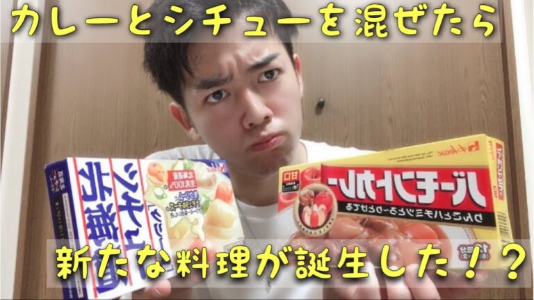 【検証】同じルー仲間のカレーとシチューを混ぜたら新たな料理が誕生した！curry and stew