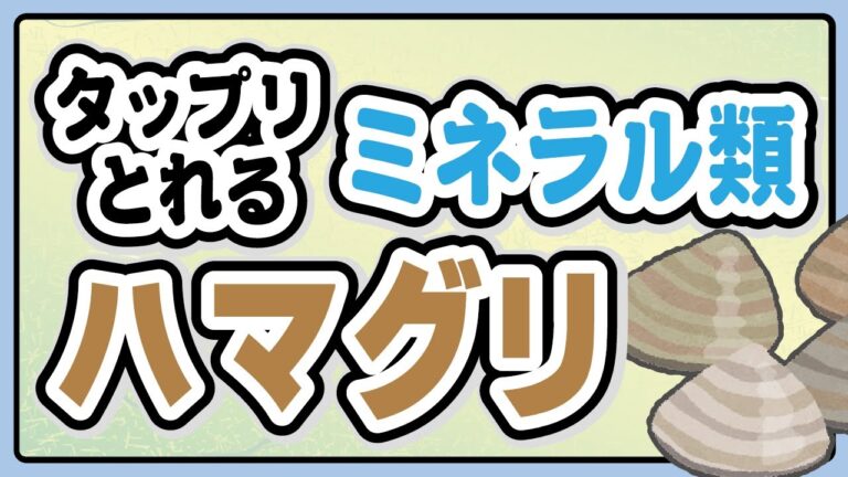 ん？どうなの！？蛤(ハマグリ)って栄養あるの？効果はどう？その疑問に手短にお答え！