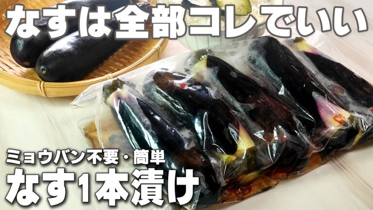 【なす 浅漬け】ミョウバン不要！ 揉むだけ５分で絶品！ 市販の素はもう卒業！ やみつき なす 漬物 レシピ