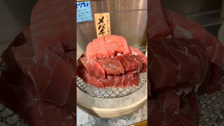 【まるで天国！？お刺身食べ放題🐟】 #熱海 #熱海観光 #静岡 #静岡グルメ #食べ放題 #food #japanesefood