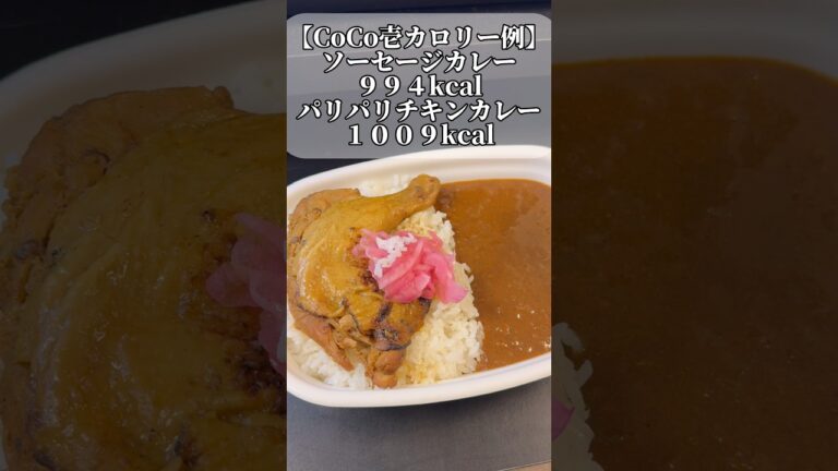 【すき家】骨付き肉カレー初体験で分かったことが３つある！#グルメ #食レポ #すき家 #カレー  #分析