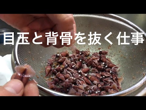 魚屋が生のホタルイカ茹でてパスタ作ってみた