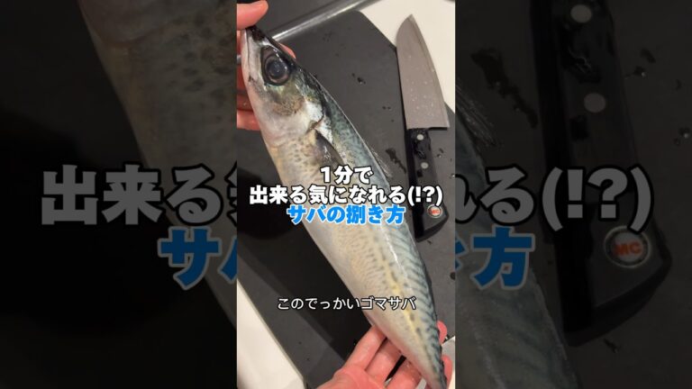 1分でわかるサバの捌き方【今晩できる】 #shorts #魚の捌き方
