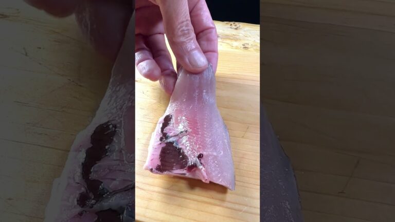 コノシロの凄さを世界に伝えたい #shorts #sashimi