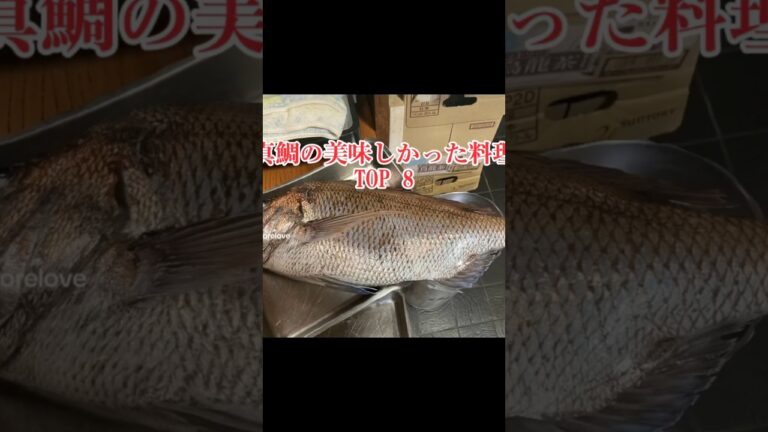 真鯛の美味しかった料理　TOP８　#真鯛 #釣り人と繋がりたい #釣り人と繋がりたい #お刺身 #塩焼き #煮付け #アラ汁 #料理