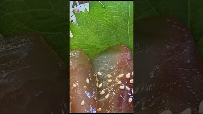 【三浦•ぼーめん】絶景の先に待つ海鮮ランチ！漁師めし「ぼーめん定食」を自転車旅で味わう　#三浦半島 #ぼーめん #自転車旅