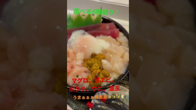 【shortVLOG】#魚丼屋 選べる5種盛り！ シャリ超大盛り500g！ #shorts