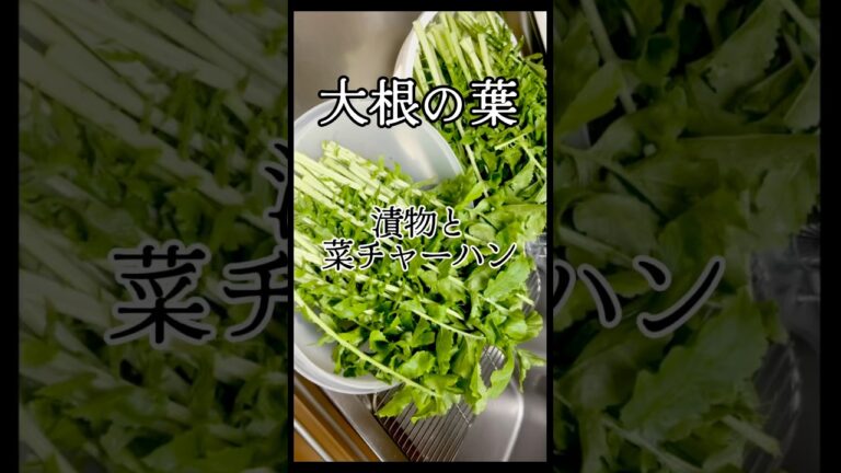 #sheets#料理#cooking#大根の葉　大根葉の漬物と菜チャーハン❤️娘達に伝えるレシピ💕