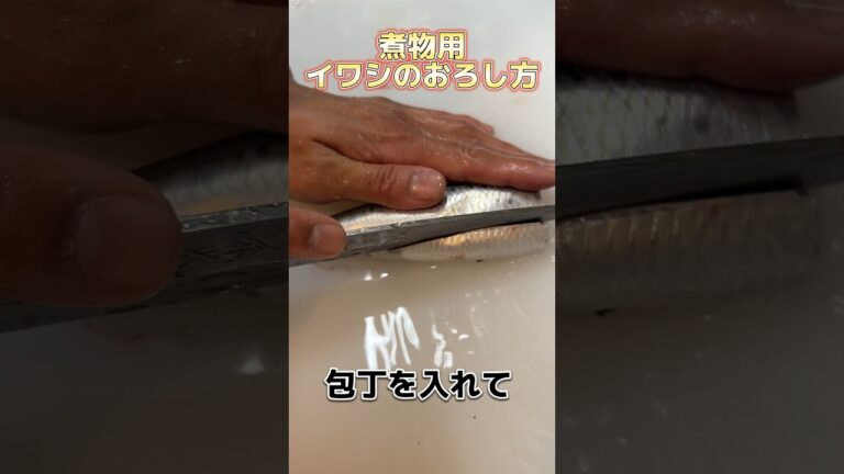 煮物用 の イワシ のおろし方を 解説 します！#せり人ムタロー #shorts