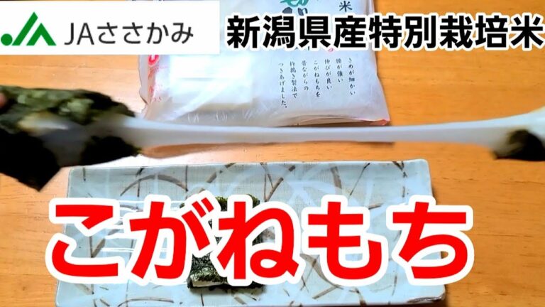 [美味しいお餅] 新潟県産こがねもちが美味しい！伸びがスゴイ！