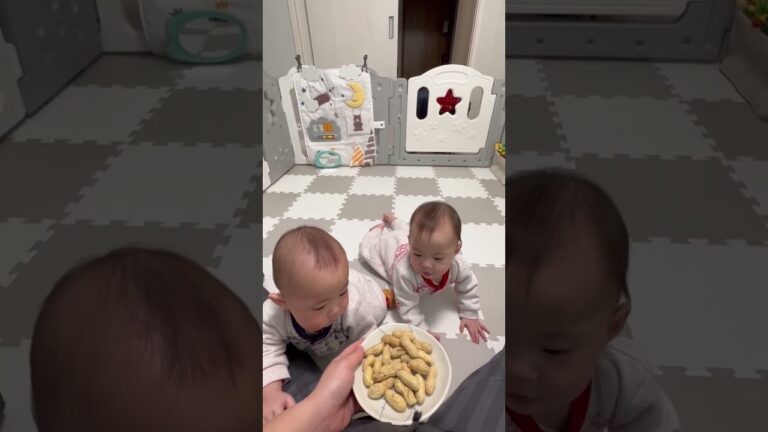 【鬼退治】初めて鬼を見た双子の反応(0歳9か月)