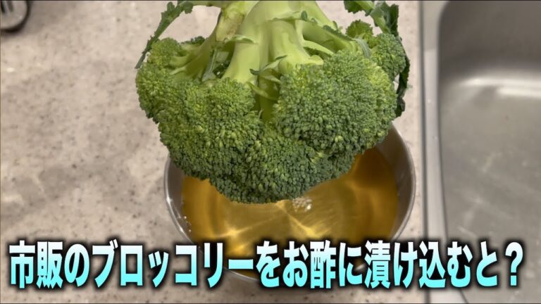 【閲覧注意】市販のブロッコリーをお酢に漬け込んだら。。。#shorts