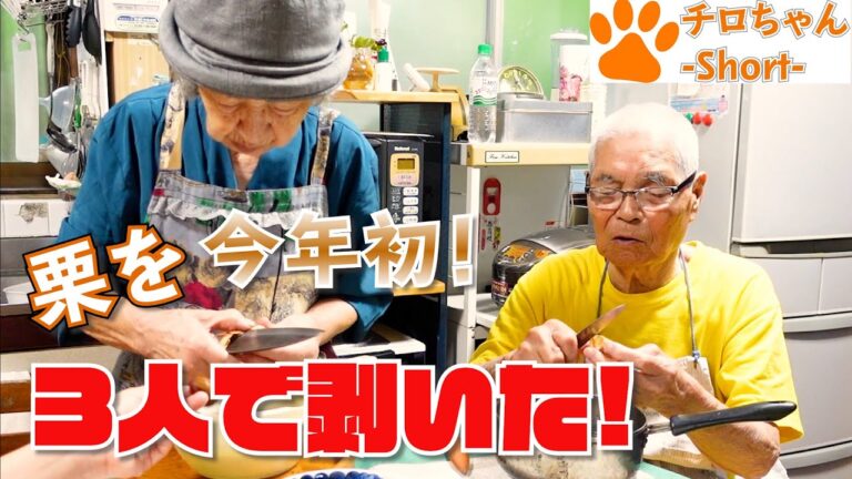 我が家の栗を使って、今年初栗ご飯。【前編】４K＃shorts