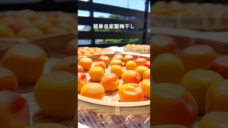 【簡単】初めてでも失敗しない梅干しの作り方